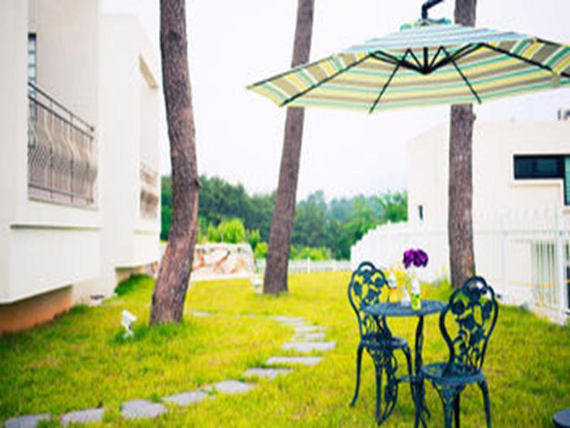 Sea & Pine Pension Namhae Exterior photo
